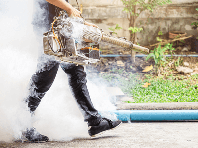 About Ant Control Southridge - ant control experts in Southridge